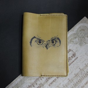 Фото Обложка на паспорт Глаза совы