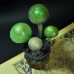 Фото Светящиеся грибы на пеньке-4