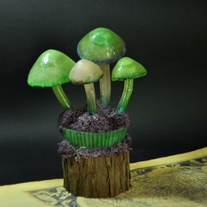 Фото Светящиеся грибы на пеньке
