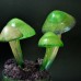 Фото Светящиеся грибы на пеньке-1