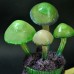 Фото Светящиеся грибы на пеньке-2