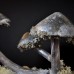 Фото Ночник "Сатурнианские грибы"-2