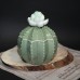 Фото Керамическая шкатулочка Кактус с цветком-1