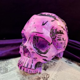 Череп розовый (гипс) Фото Череп розовый (гипс)
