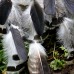Фото Ловец снов с лапками птиц "Дикие пляски"-9