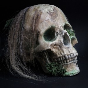 Фото Череп анатомический с остатками волос