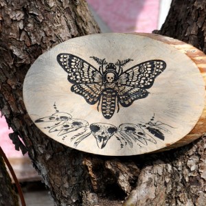 Фото Декор на спиле дерева "Бабочка Мёртвая голова"