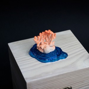 Фото Растущие фигурки "Кораллы"