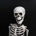 Фото Скелет человека - декор для Хэллоуина-1