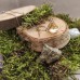 Фото Кулон с засушенными растениями в смоле, вереск, мох, гипсофилы-4