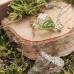 Фото Кулон с засушенными растениями в смоле, вереск, мох, гипсофилы-3