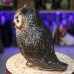 Фото Лесная сова гипсовая копилка-1