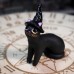 Фото Кот, собака в остроконечной шляпе, Хэллоуин-5
