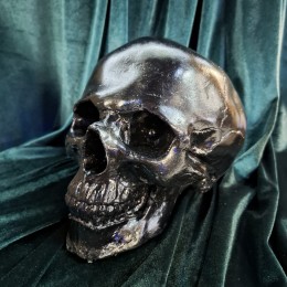 Череп чёрный анатомический (гипс) Фото Череп чёрный анатомический (гипс)