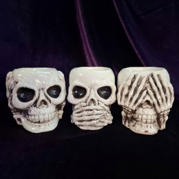 Фото Кашпо-черепа "Ничего не слышу,ничего не вижу, ничего не говорю" (набор 3 шт)