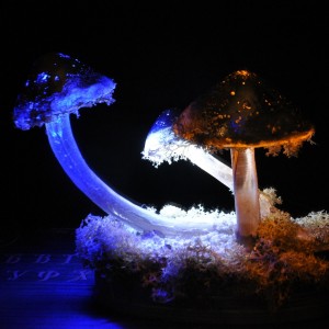 Фото Ночник "Сатурнианские грибы"
