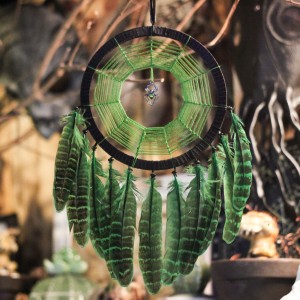 Фото Ловец снов с паучком зелёный