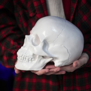 Фото Анатомический череп белый, копилка
