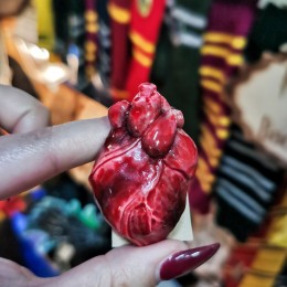 Фото Анатомическое сердце брошка