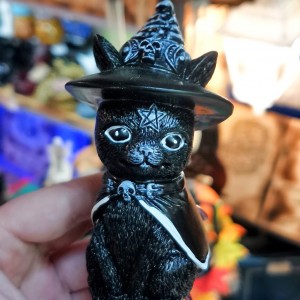 Фото Чёрный кот в ведьминой шляпе