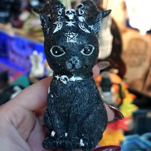 Фото Чёрный кот с рогами
