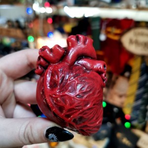 Фото Брошка Сердце анатомическое большое