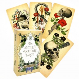 The Antique Anatomy Tarot - Таро Античной анатомии, анг.яз.