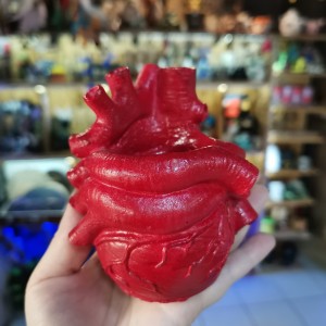 Фото Кашпо из гипса Сердце анатомическое красное